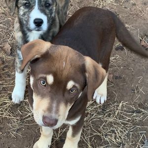 Meet your Posher, Christopher